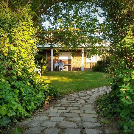 Villa De Zilveren Helm à Halen Extérieur photo