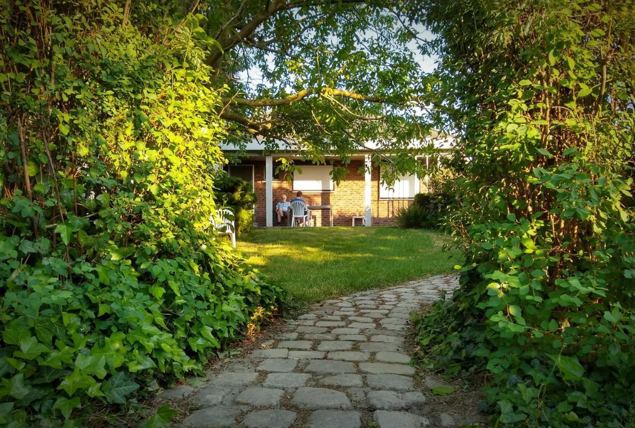 Villa De Zilveren Helm à Halen Extérieur photo